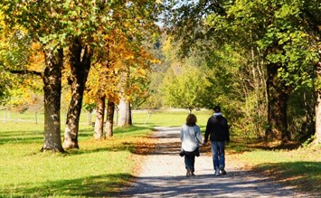 Herbstlicher Kurzurlaub im Oberallgäu - oberallgaeu.info