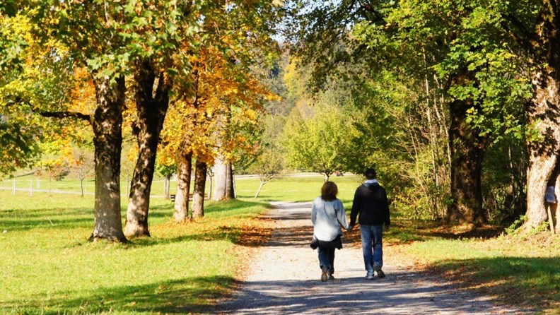 Herbstlicher Kurzurlaub im Oberallgäu - oberallgaeu.info