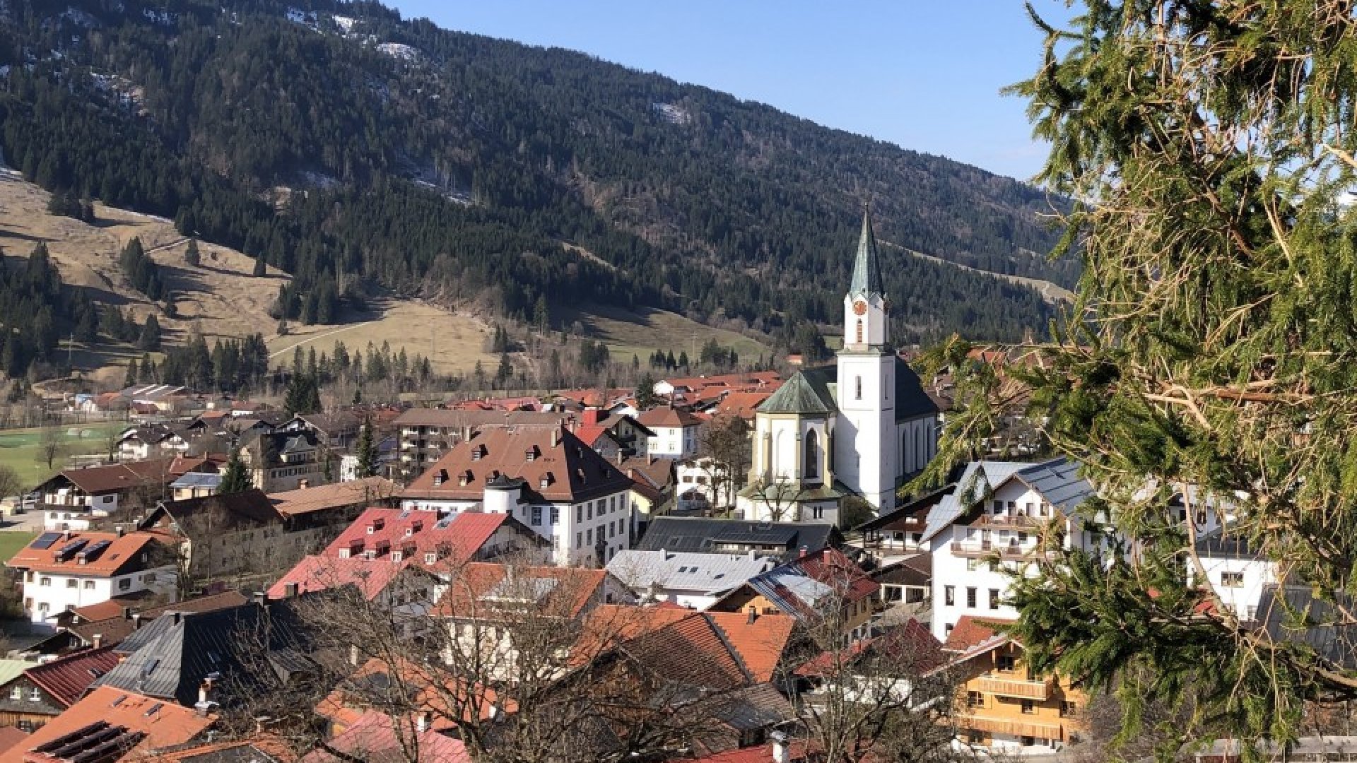 Jede Menge Freizeitspaß mit dem Vierbeiner im Oberallgäu - oberallgaeu.info