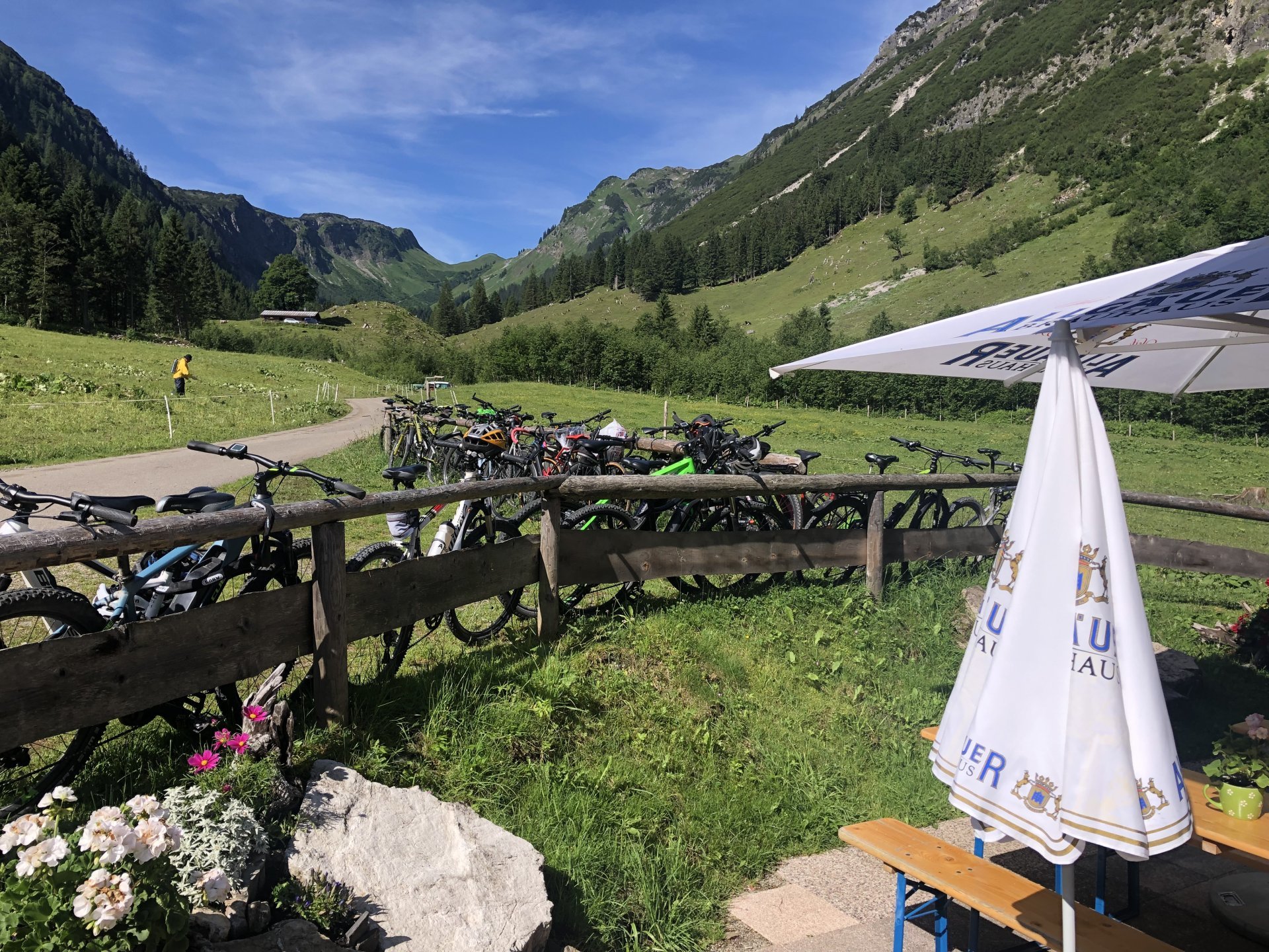 E-Mountainbiken für sportlich ambitionierte Fahrer im Oberallgäu - oberallgaeu.info