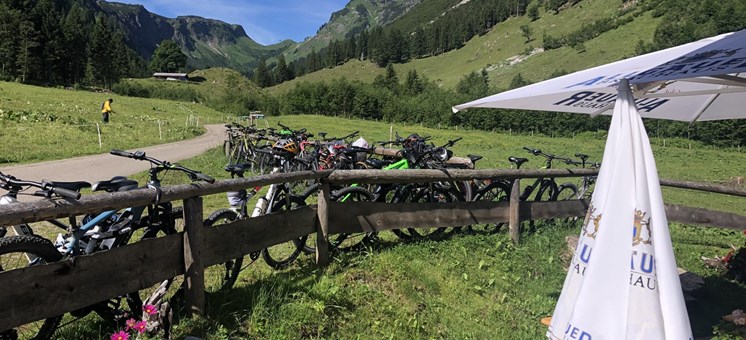E-Mountainbiken für sportlich ambitionierte Fahrer im Oberallgäu - oberallgaeu.info