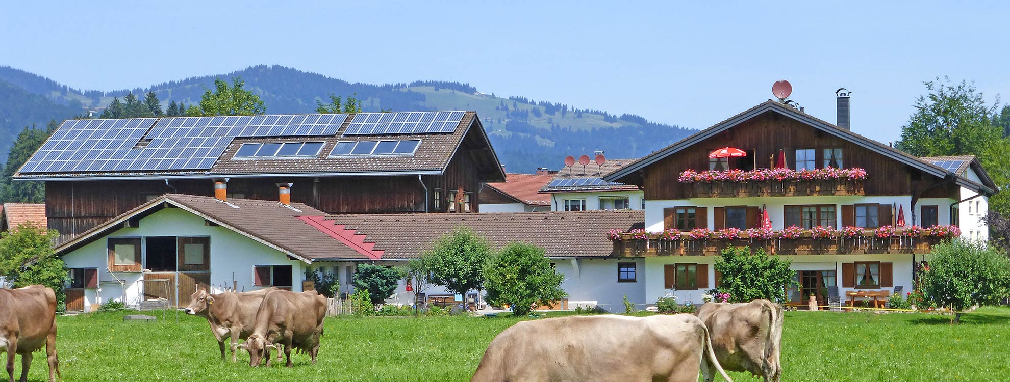 Bergbauernhöfe und Direktvermarkter im Allgäu: Wie  ein professioneller Auftritt und die richtige Software  mehr Gäste bringen  - oberallgaeu.info