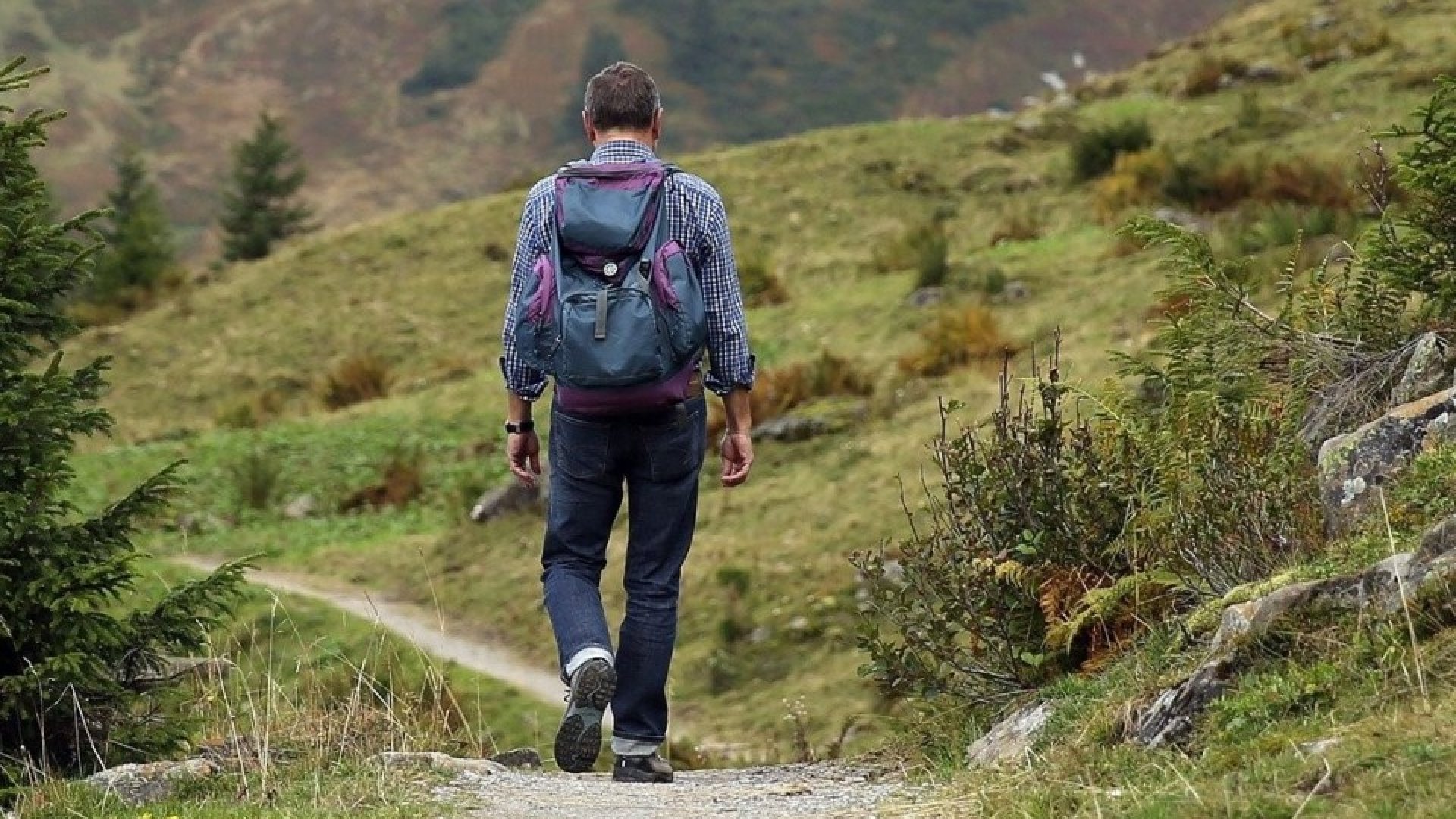 Outdoor-Rucksäcke: Welcher Rucksack ist optimal für Bergtouren geeignet? - oberallgaeu.info