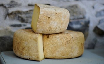 Käse aus Oberallgäu - mit diesen Rezepten schmeckt er besonders - oberallgaeu.info