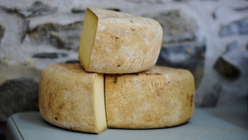 Käse aus Oberallgäu - mit diesen Rezepten schmeckt er besonders - oberallgaeu.info