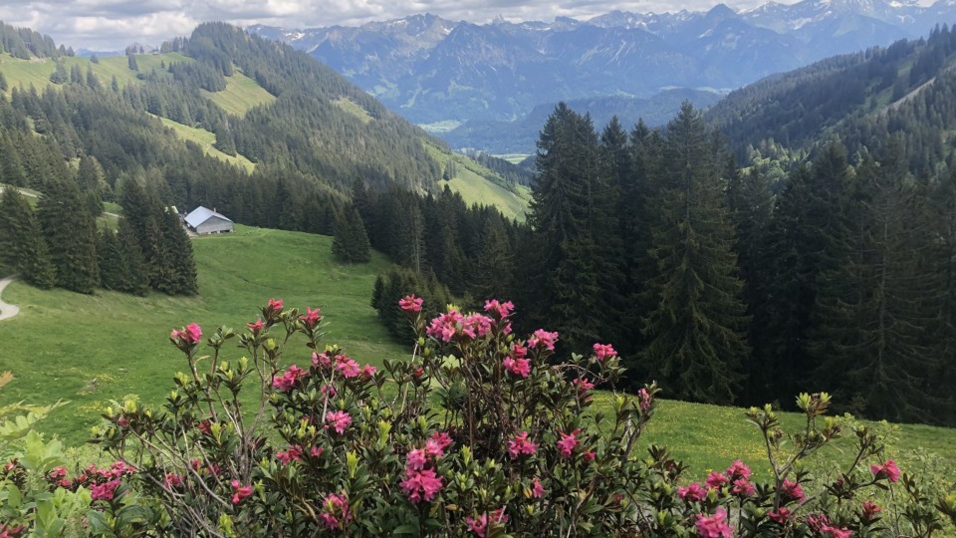 Kann man den digitalen Arbeitsplatz mit Urlaub verbinden? - oberallgaeu.info