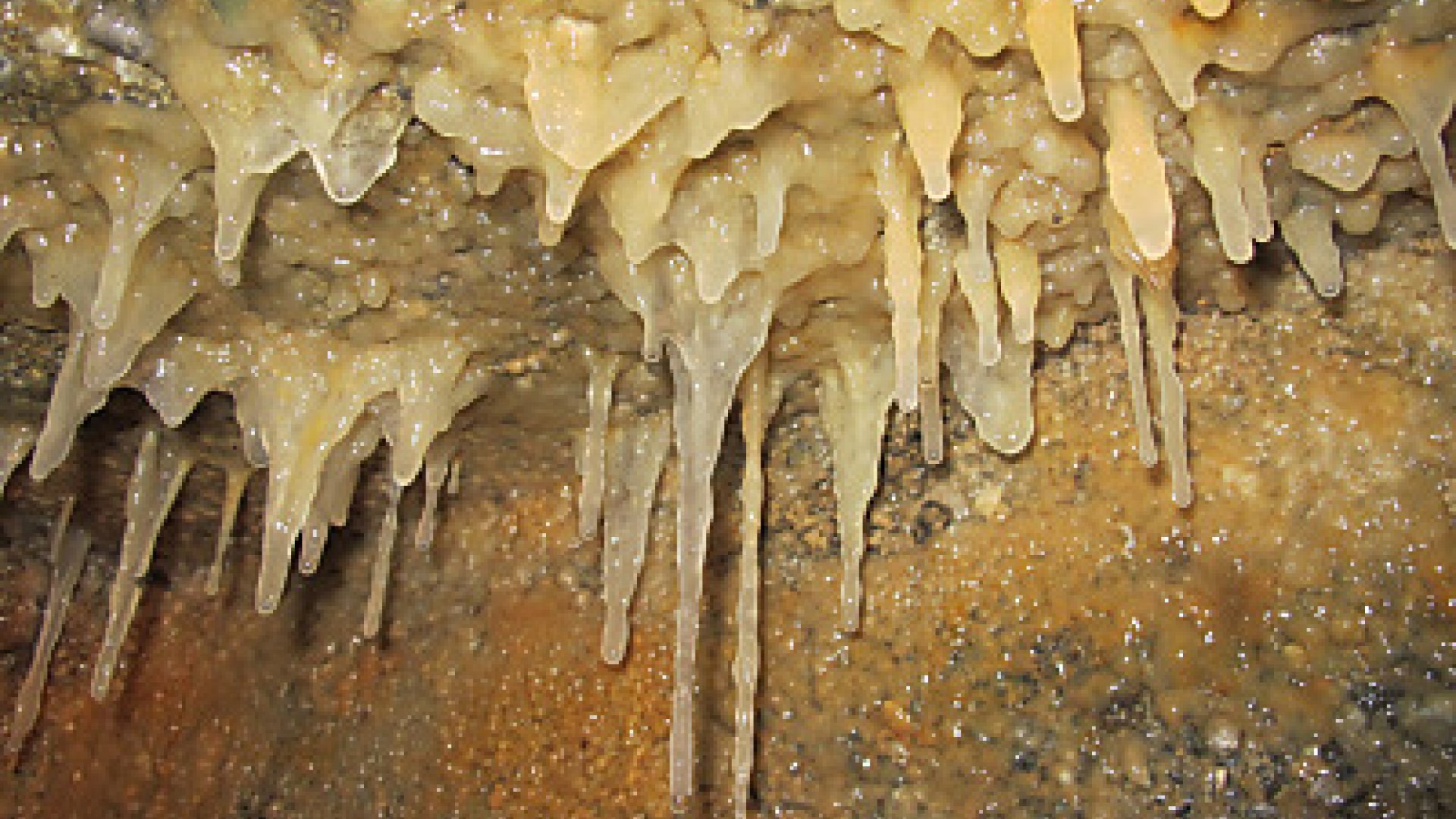 Lebendige Tropfsteinhöhlen Sulzberg (Allgäu) - oberallgaeu.info