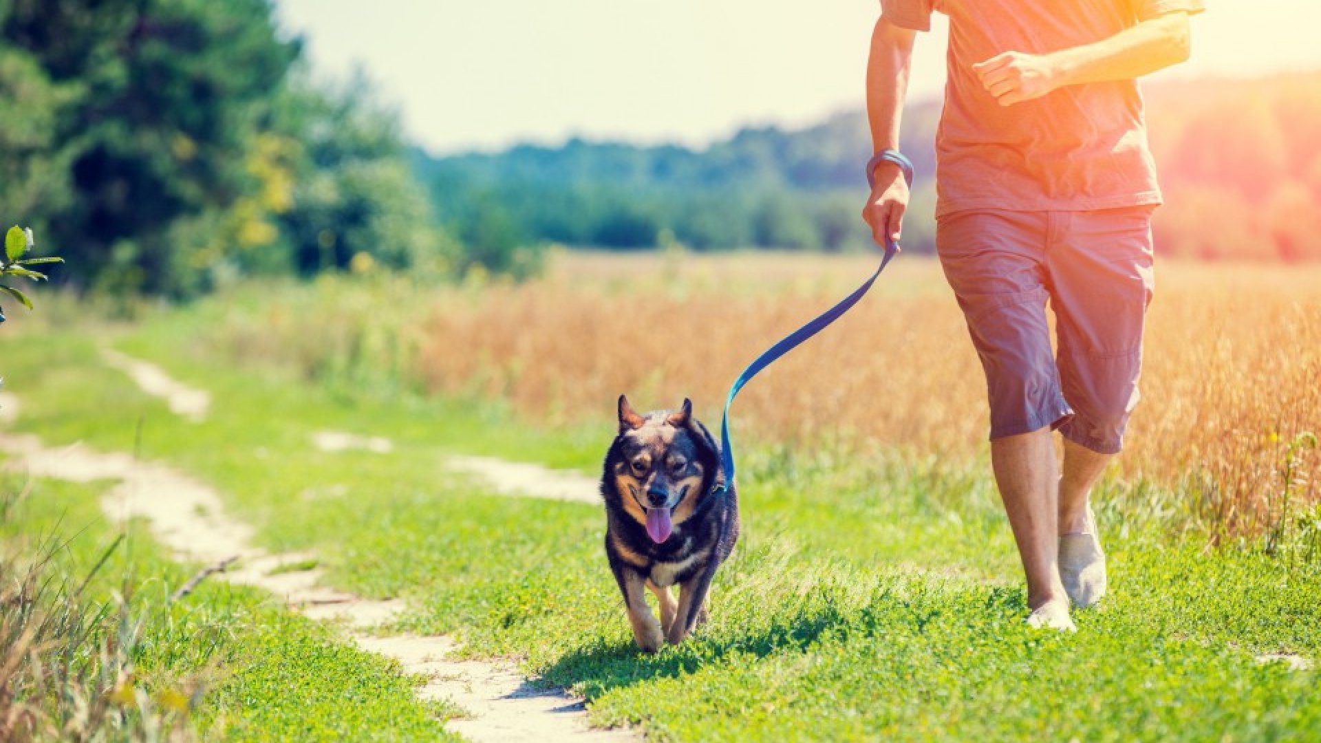 Fotolia.com &copy; #166694753 | Urheber: vvvita