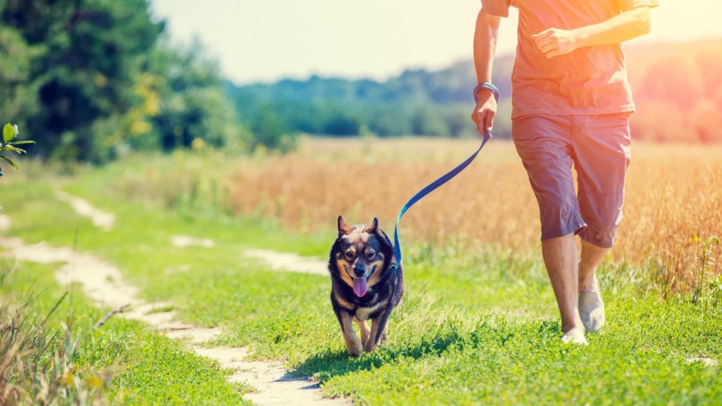 Fotolia.com © #166694753 | Urheber: vvvita