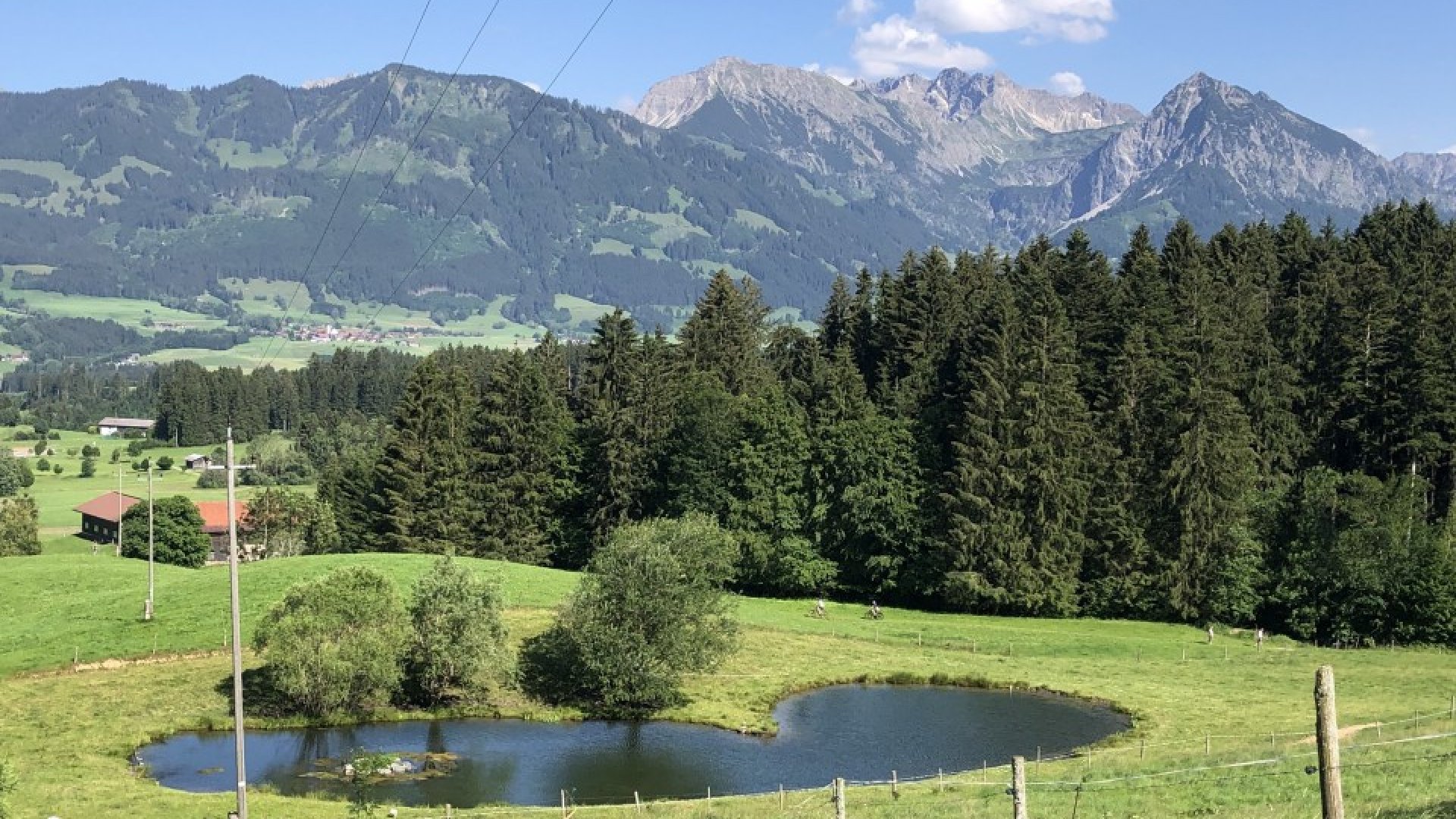 kleiner See auf Weide