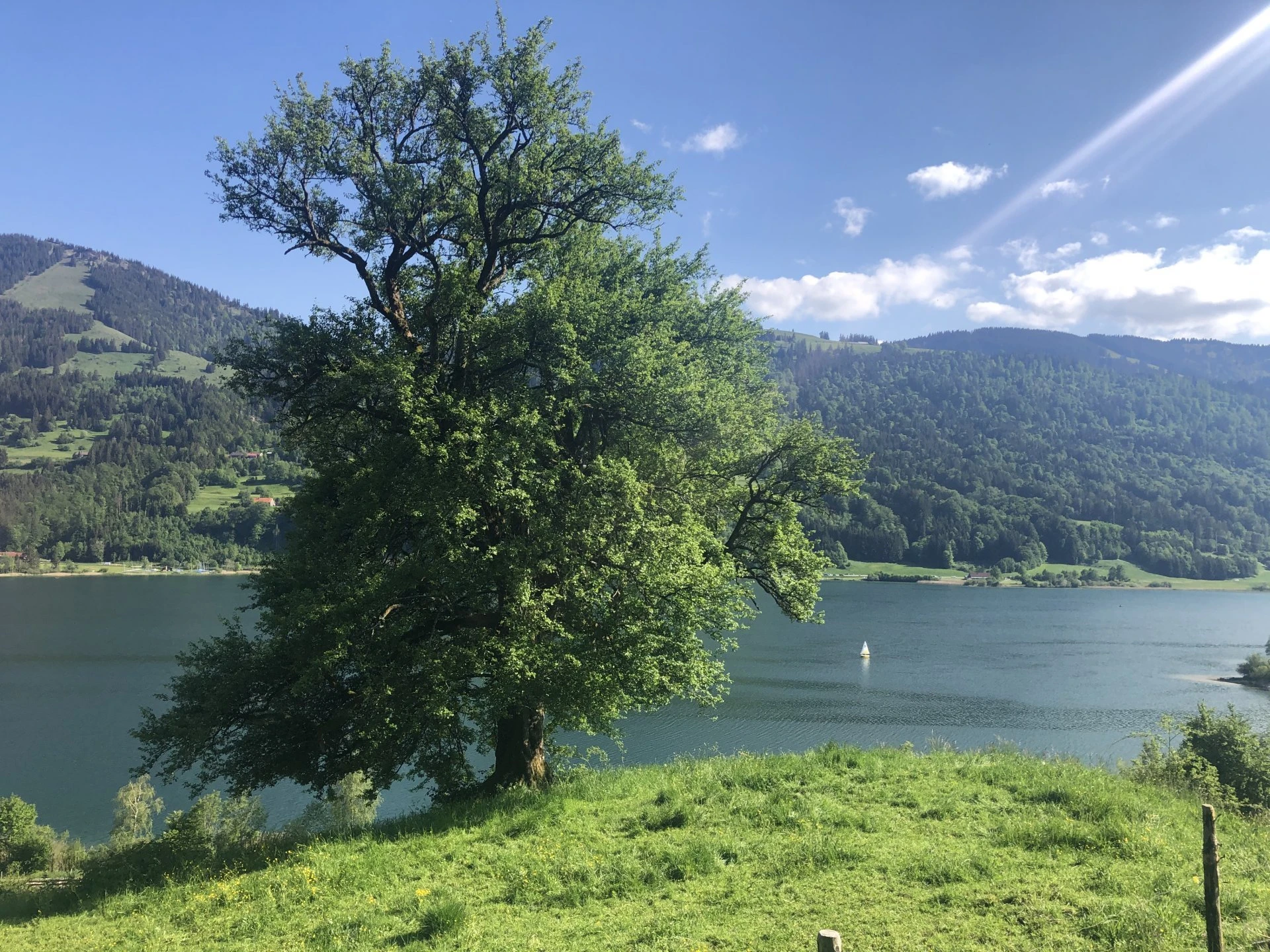 Großer Alpsee in Immenstadt