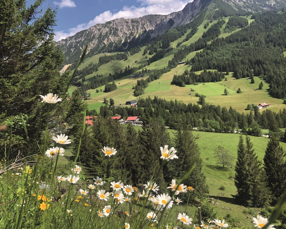 Bad Hindelang - Oberjoch