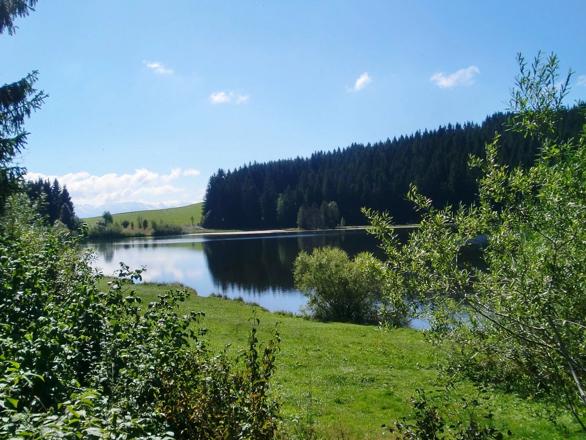 Buchenberg_Eschacher Weiher_Leo Schubert
