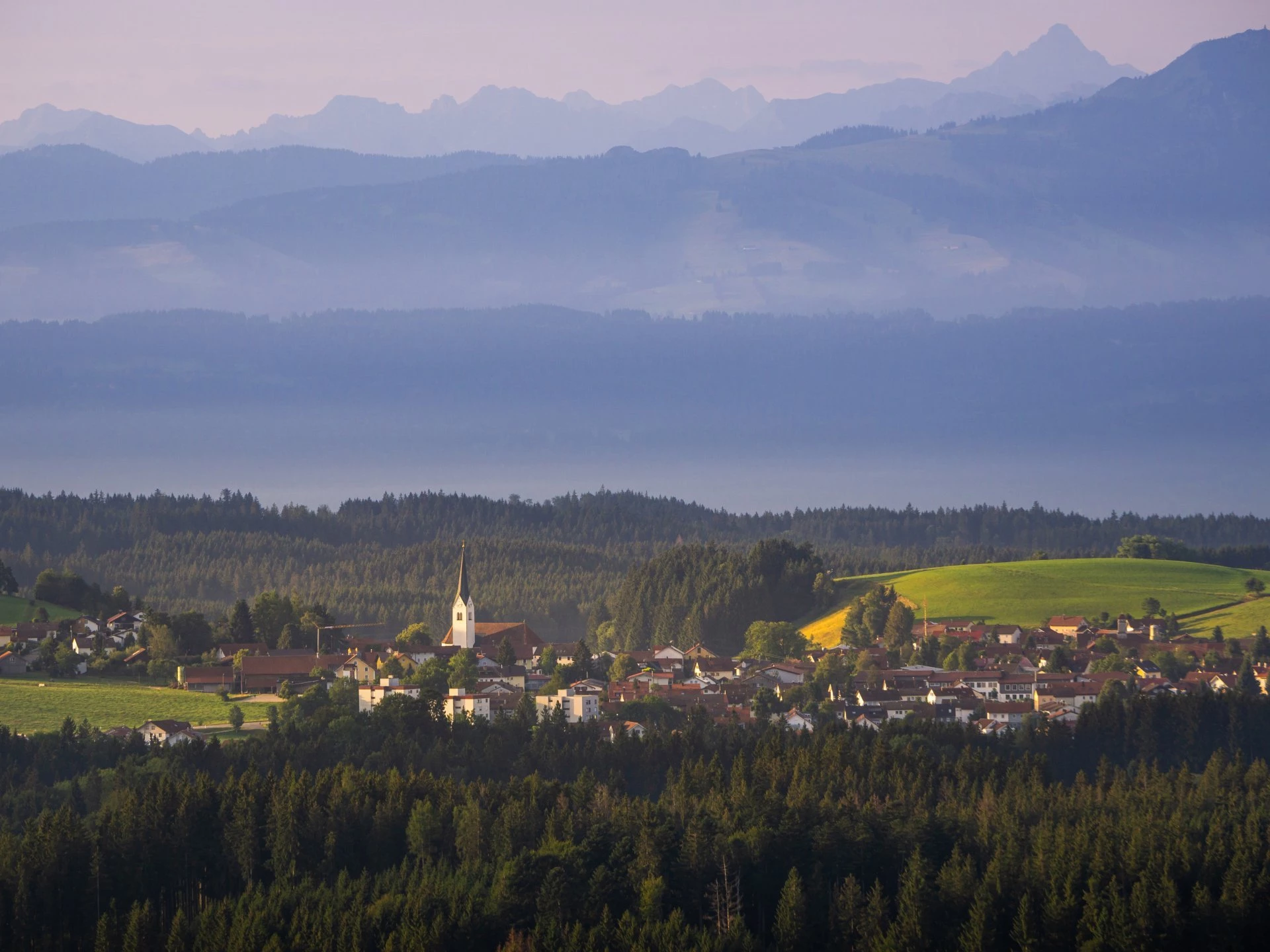 Buchenberg_Leo Schubert