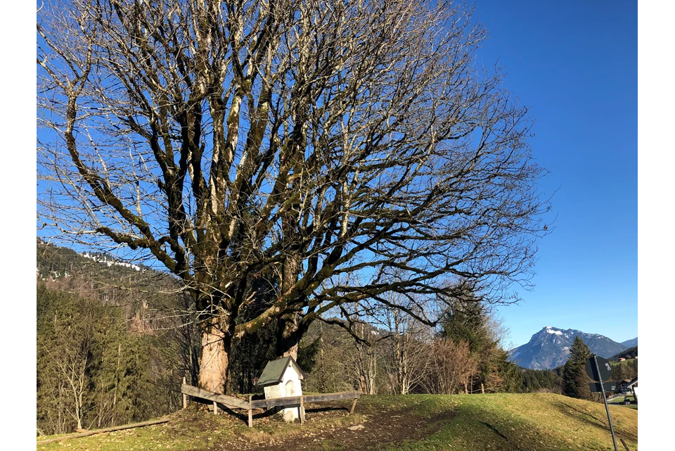 Kleinwalsertal Österreich