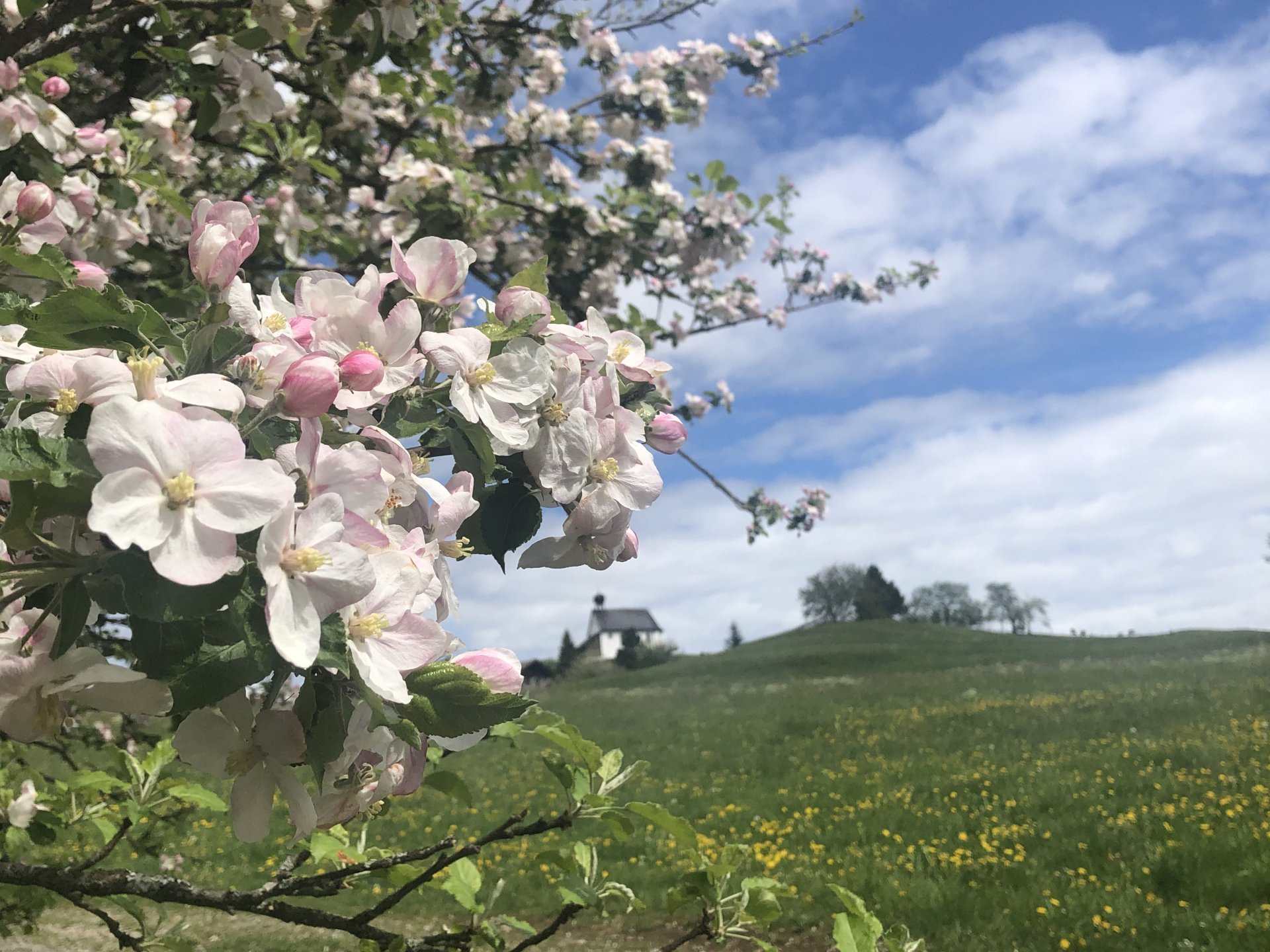 Frühling in Obermaiselstein