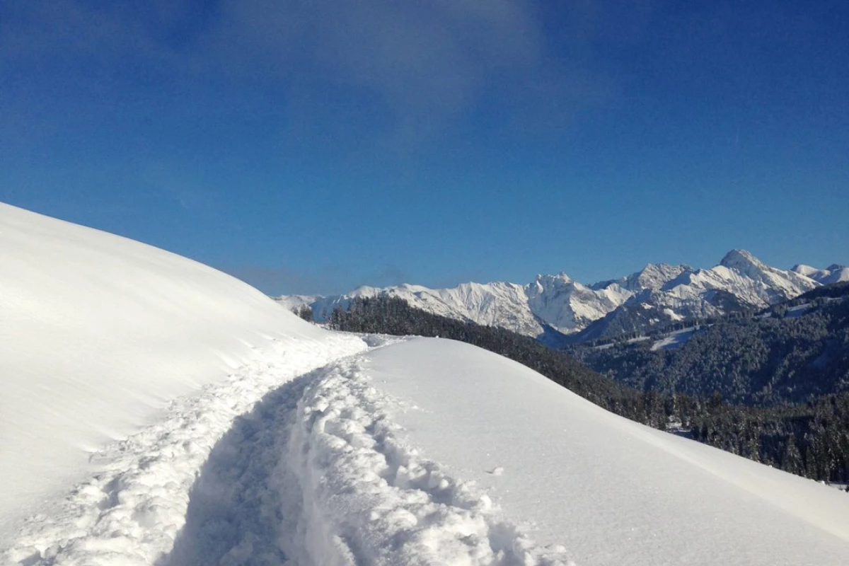 schneeschuhtouren im allgäu