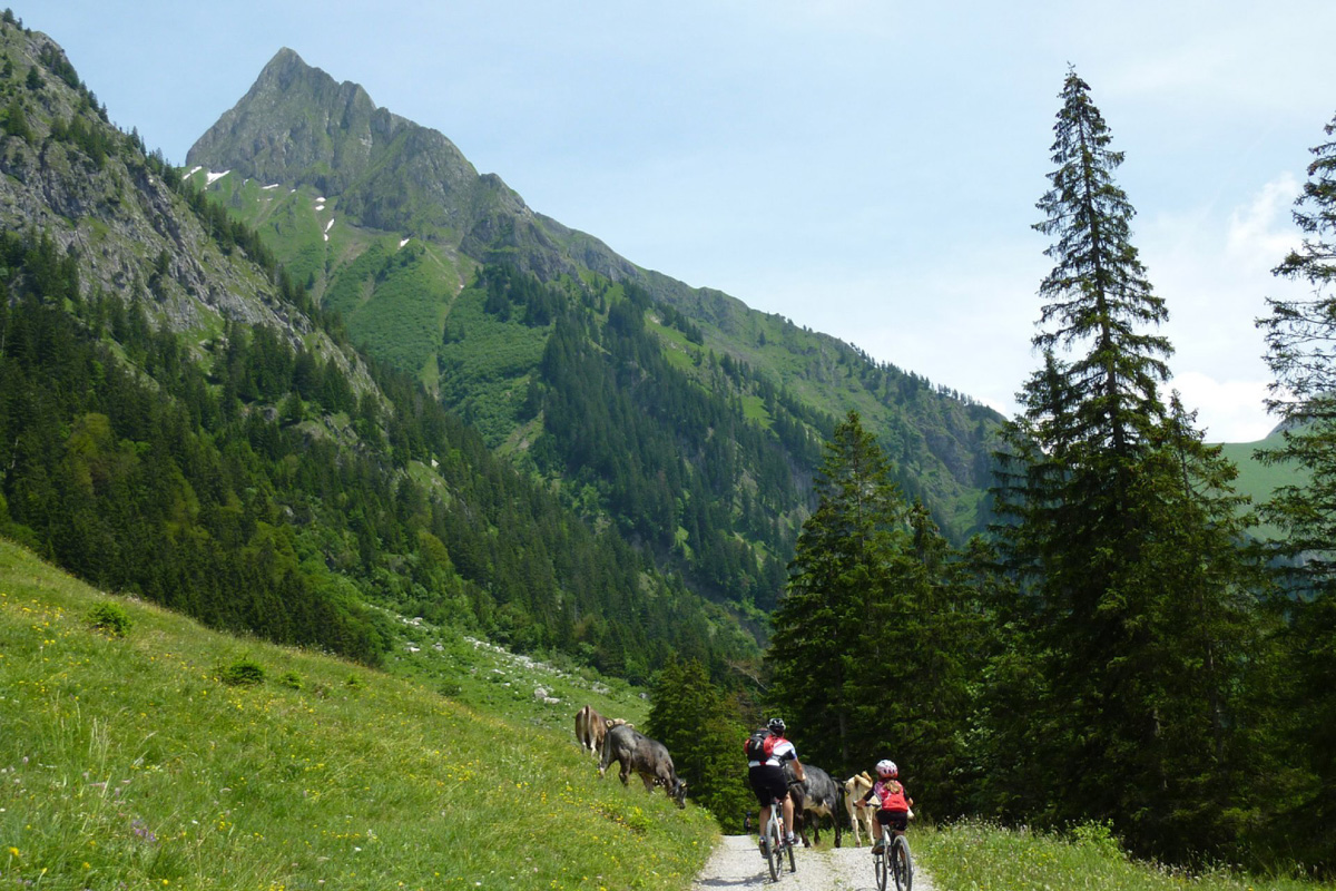 mountainbiken im allgäu