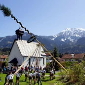 Unterkunft im Allgäu - Maibaumaufstellen mit Maibaumfest im Allgäu - Oberallgäu - 1. Mai - Maibaumaufstellen im Oberallgäu 
