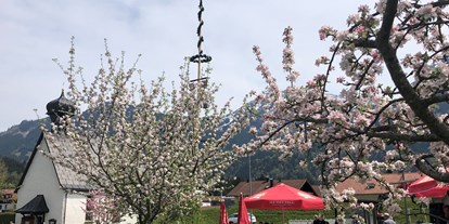 Hotels und Ferienwohnungen im Oberallgäu - Kategorien: Kultur & Brauchtum - Maifeiertag mit Maibaumfest im Allgäu - Oberallgäu - 1. Mai - Maibaumaufstellen im Oberallgäu 