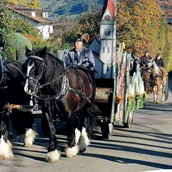 Unterkunft im Allgäu - Martiniritt mit Pferdesegnung in Blaichach - Martiniritt 2023 mit Pferdesegnung in Blaichach