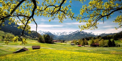 Hotels und Ferienwohnungen im Oberallgäu - Immenstädter Sommer präsentiert: VUIMERA und Jonathan Besler - VUIMERA und Jonathan Besler auf Klangbildreise