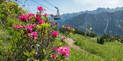Hotels und Ferienwohnungen im Oberallgäu - Parken & Anreise: kostenpflichtige Parkplätze - Oberstdorf - Fest zur Alpenrosenblüte auf dem Fellhorn  - Bergfest 2024 zur Alpenrosenblüte im Allgäu