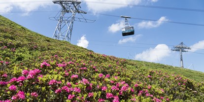 Hotels und Ferienwohnungen im Oberallgäu - Parken & Anreise: Busparkplatz - Fest zur Alpenrosenblüte im Allgäu auf dem Fellhorn  - Bergfest 2024 zur Alpenrosenblüte im Allgäu