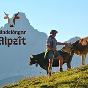 Unterkunft im Allgäu - Hindelanger Alpzeit - Hindelôngar Alpzit 2024