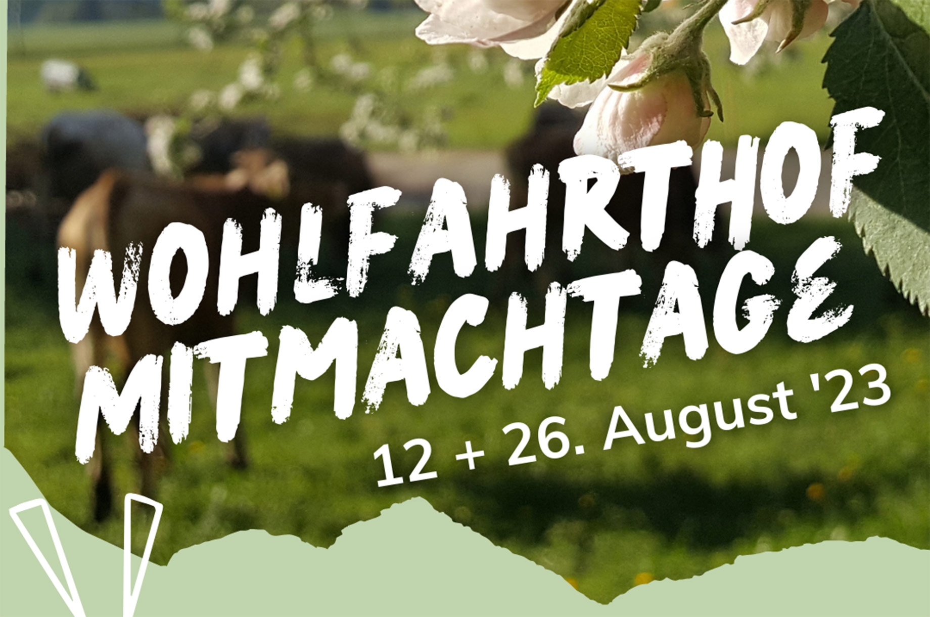 Veranstaltungskalender für das Oberallgäu: Mitmachtag auf dem Bauernhof - im Wohlfahrthof in Rettenberg - Mitmachtag auf dem Bauernhof - im Wohlfahrthof in Rettenberg