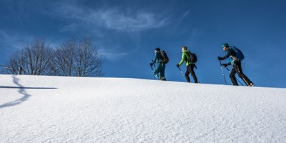 Hotels und Ferienwohnungen im Oberallgäu - Schneeschuh Festival Oberstaufen - Schneeschuh Festival Oberstaufen