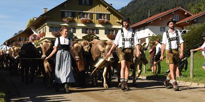 Hotels und Ferienwohnungen im Oberallgäu - Kategorien: Viehscheid - Deutschland - Viehscheid in Blaichach - Gunzesried im Oberallgäu - Viehscheid 2024 in Gunzesried