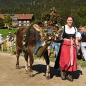 Unterkunft im Allgäu - Viehscheid in Blaichach - Gunzesried im Oberallgäu - Viehscheid in Gunzesried 2024