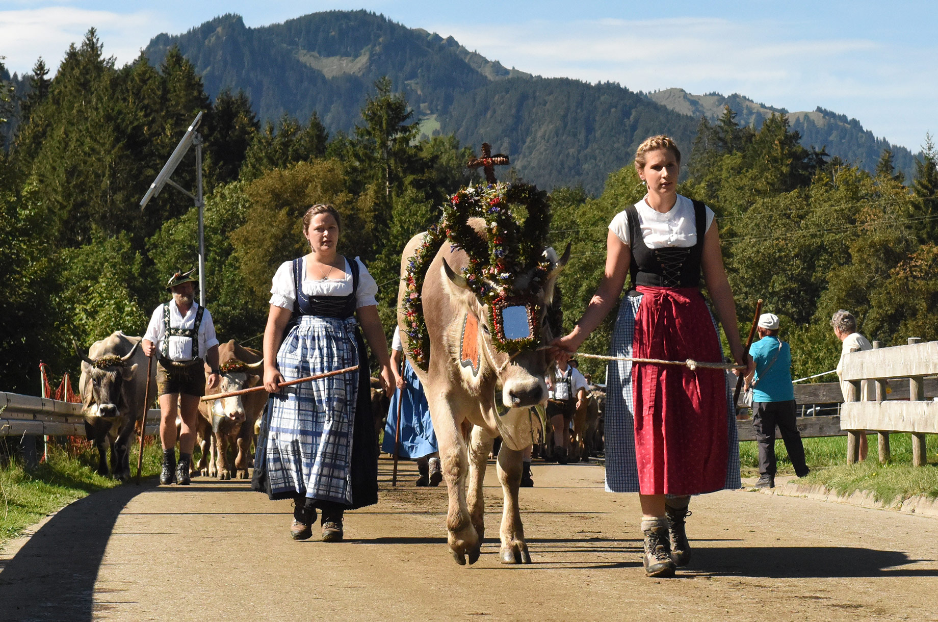 Hotels und Ferienwohnungen im Oberallgäu - Viehscheid in Blaichach - Gunzesried im Oberallgäu - Viehscheid in Gunzesried am 17.09.2026