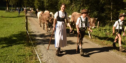Hotels und Ferienwohnungen im Oberallgäu - Kategorien: Viehscheid - Deutschland - Viehscheid in Oberstdorf im Allgäu - Viehscheid 2024 in Oberstdorf im Allgäu