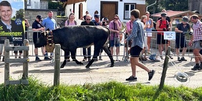 Hotels und Ferienwohnungen im Oberallgäu - Wetter: bei jedem Wetter - Viehscheid in Schöllang 2024