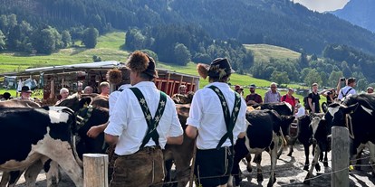 Hotels und Ferienwohnungen im Oberallgäu - Parken & Anreise: Anreise mit ÖPNV möglich - Viehscheid in Schöllang 2024