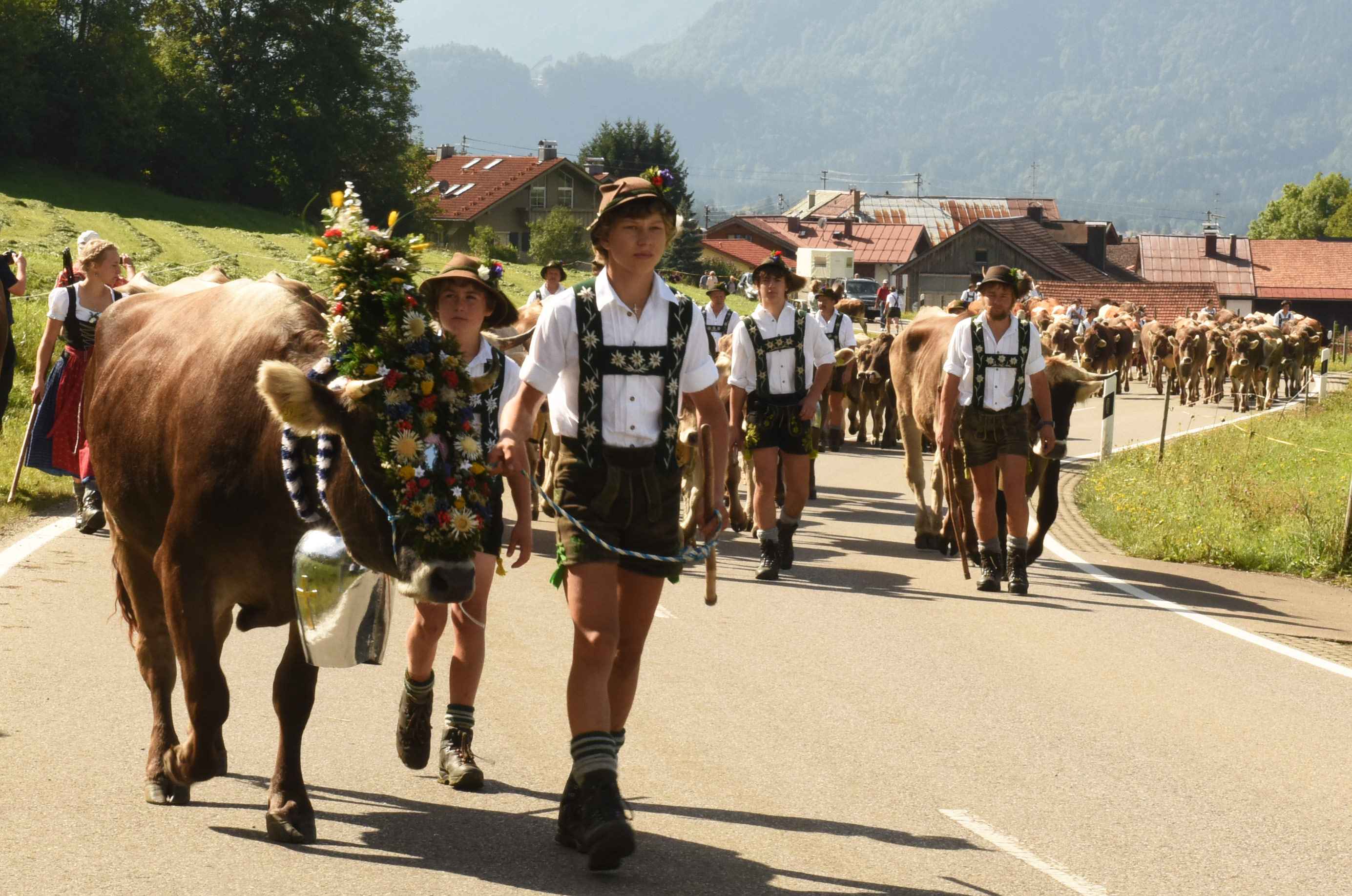 Unterkunft im Allgäu - Der Viehscheid in Oberstdorf - Schöllang im Allgäu - Viehscheid in Schöllang am 10.09.2027