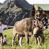Veranstaltungskalender für das Oberallgäu: Viehscheid im Kleinwalsertal  - Viehscheid im Kleinwalsertal 2024 *