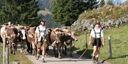Hotels und Ferienwohnungen im Oberallgäu - Kategorien: Viehscheid - Deutschland - Viehscheid 2024 im Oberallgäu