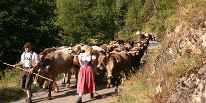 Hotels und Ferienwohnungen im Oberallgäu - Wetter: bei jedem Wetter - Obermaiselstein - Viehscheid im Allgäu - Oberallgäu