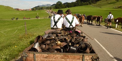 Hotels und Ferienwohnungen im Oberallgäu - Wetter: bei jedem Wetter - Viehscheid im Allgäu - Oberallgäu