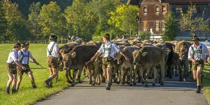 Hotels und Ferienwohnungen im Oberallgäu - Deutschland - Viehscheid / Alpabtrieb in Wertach - Viehscheid in Wertach 2024 mit Krämermarkt