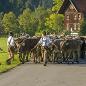 Unterkunft im Allgäu - Viehscheid / Alpabtrieb in Wertach - Viehscheid in Wertach 2024 mit Krämermarkt