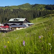 Restaurantführer für das Oberallgäu: Berghütte Grasgehren im Wandergebiet Skigebiet am Riedbergpass - Berghütte Grasgehren unterm Riedbergerhorn