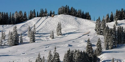 Hotels und Ferienwohnungen im Oberallgäu - Berghütte Grasgehren im Wandergebiet Skigebiet am Riedbergpass - Berghütte Grasgehren unterm Riedbergerhorn