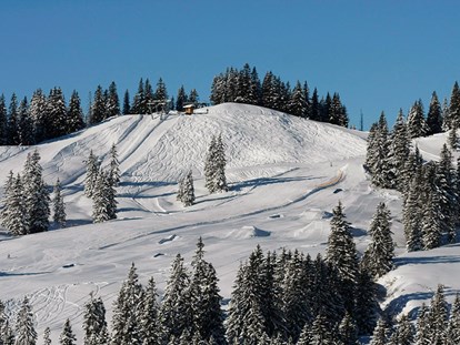 Hotels und Ferienwohnungen im Oberallgäu - Deutschland - Berghütte Grasgehren im Wandergebiet Skigebiet am Riedbergpass - Berghütte Grasgehren unterm Riedbergerhorn