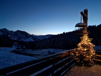 Hotels und Ferienwohnungen im Oberallgäu - Deutschland - Berghütte Grasgehren 1.447m  - Berghütte Grasgehren unterm Riedbergerhorn