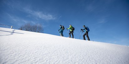 Hotels und Ferienwohnungen im Oberallgäu - Kategorien: Outdoorattraktion - Deutschland - Bergwelt Oberstaufen - Outdoor Abenteuer im Allgäu - Bergwelt Oberstaufen im Allgäu