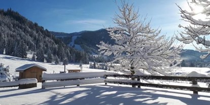 Hotels und Ferienwohnungen im Oberallgäu - Freizeit: Skifahren - Balderschwang - Almhof Lässer - Ferienwohnungen im Allgäu - Almhof Lässer  - Ferienwohnungen in Balderschwang im Allgäu